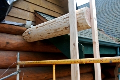 Log Replacement Process 1
