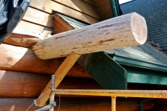 Log Replacement Process 4