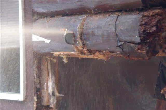 Dsc | Log Home Restoration | Builder | Repair | West Coast Restoration